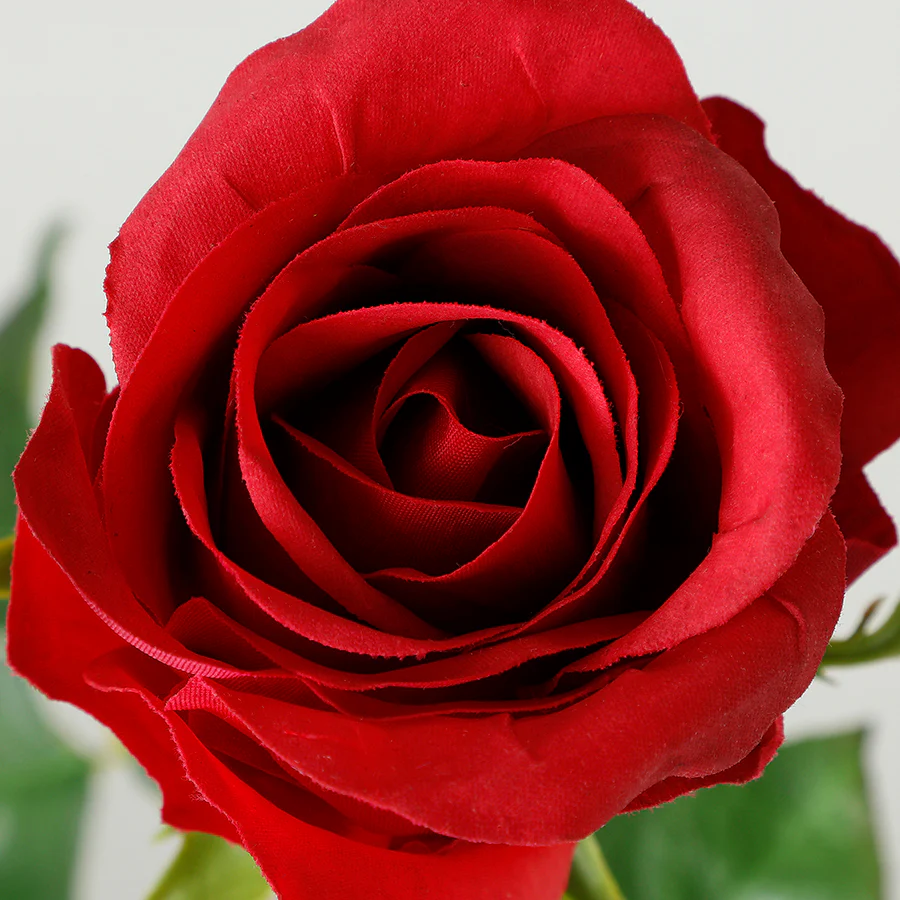Tige de Rose fermée Premium 50cm - Image 4
