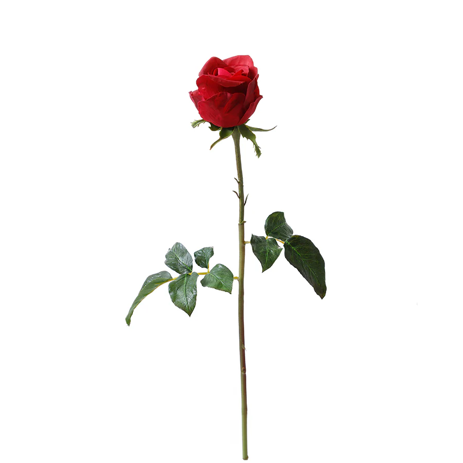 Tige de Rose fermée Premium 50cm - Image 7