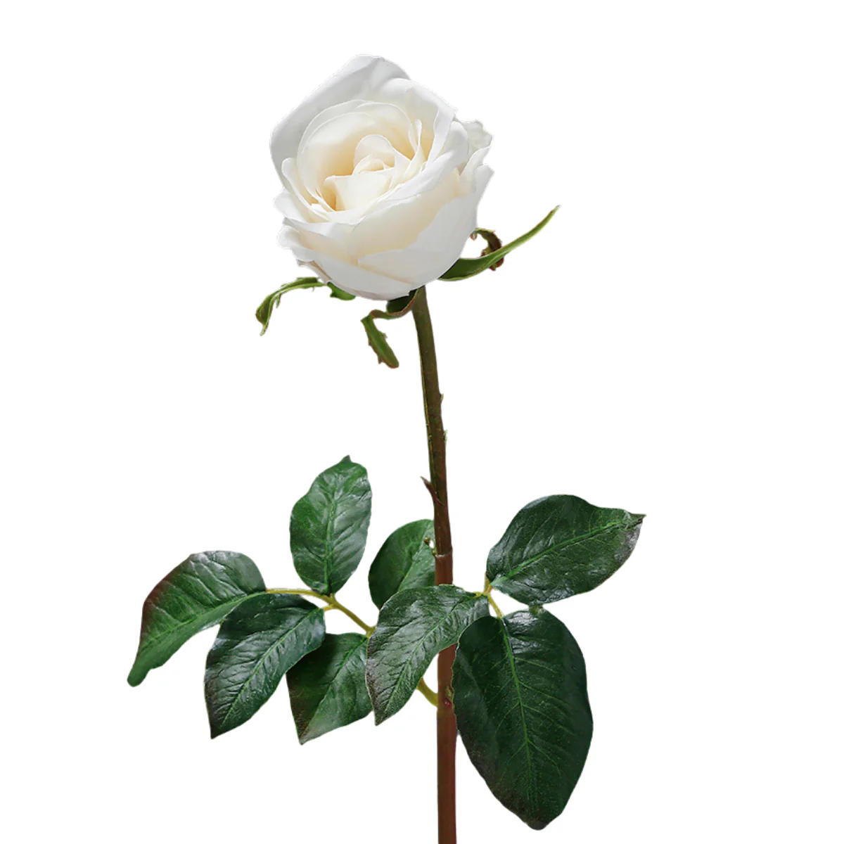Tige de Rose fermée Premium 50cm - Image 8