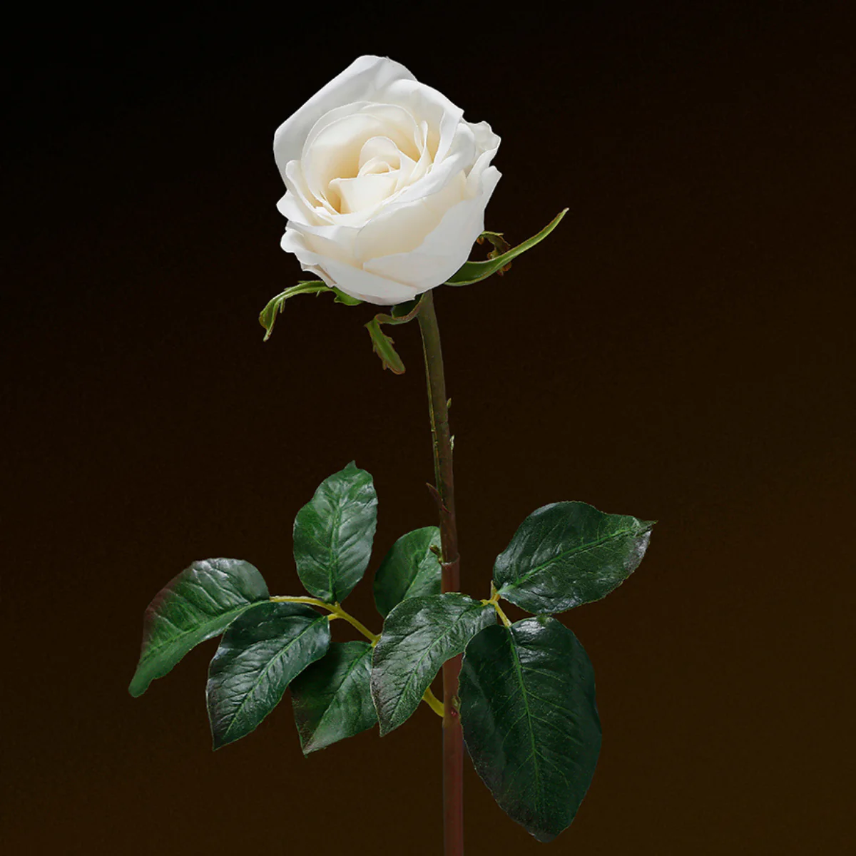 Tige de Rose fermée Premium 50cm - Image 9