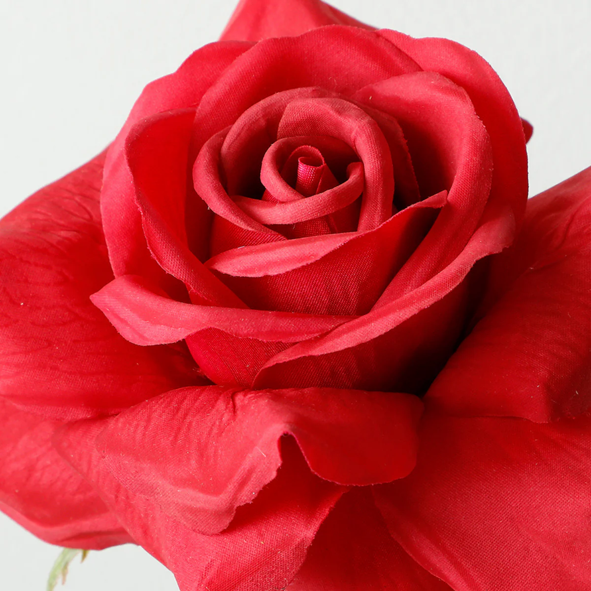 Tige de Rose ouverte Premium 50cm - Image 3