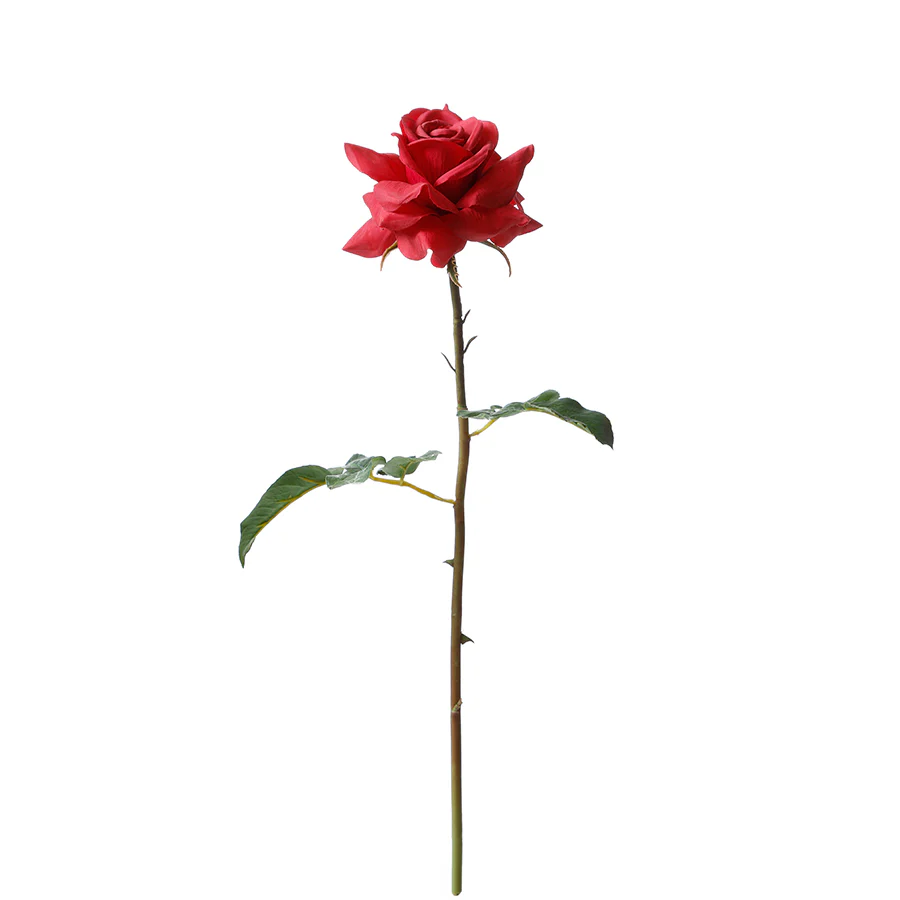 Tige de Rose ouverte Premium 50cm - Image 5