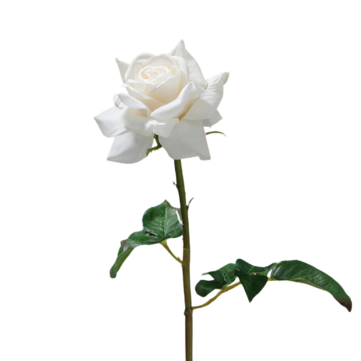 Tige de Rose ouverte Premium 50cm - Image 6