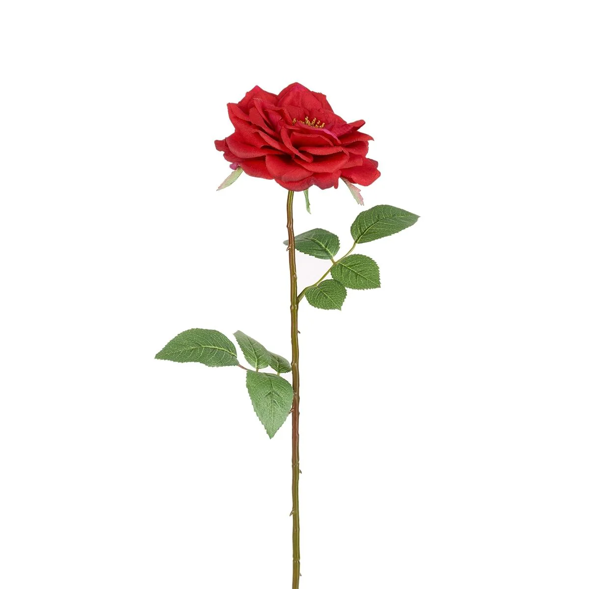 Tige de Rose Sophie ouverte - Image 3