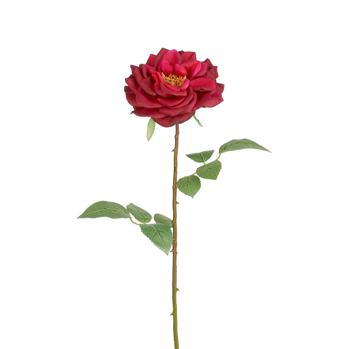 Tige de Rose Sophie ouverte - Image 5