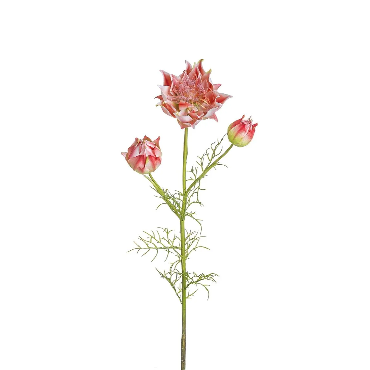 Miniature 1