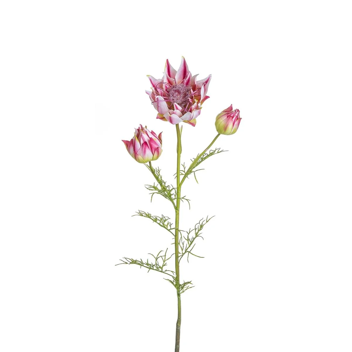 Miniature 2