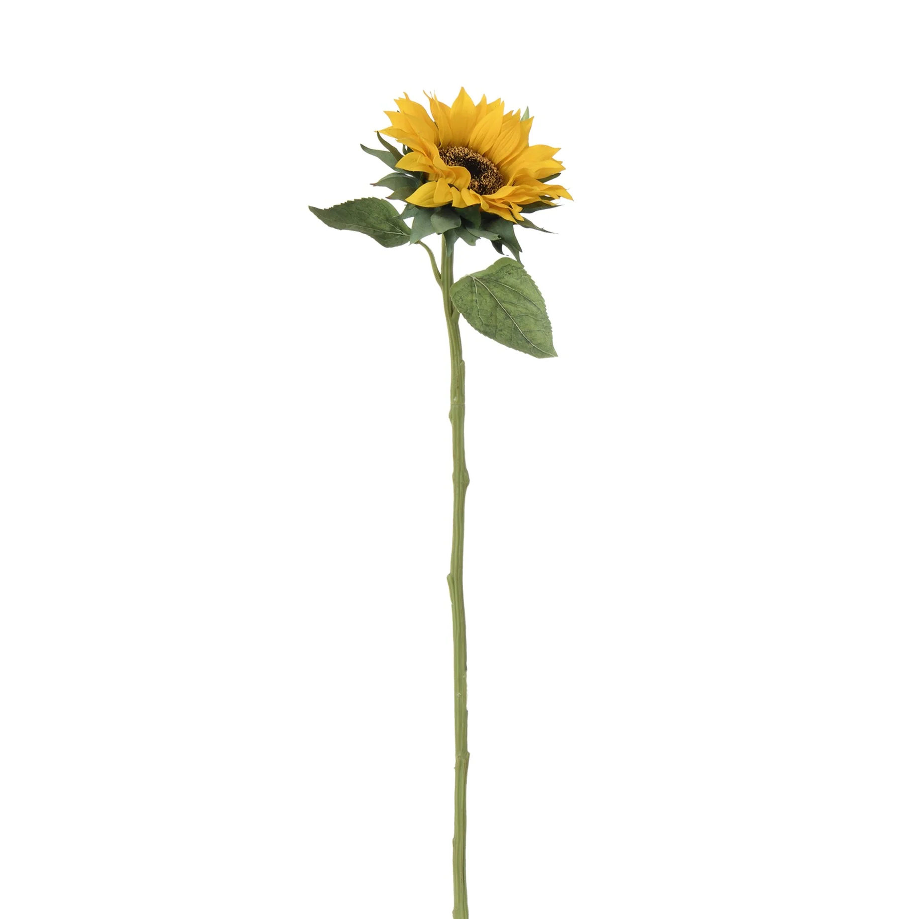 Tige de Tournesol 70 cm - Image 8