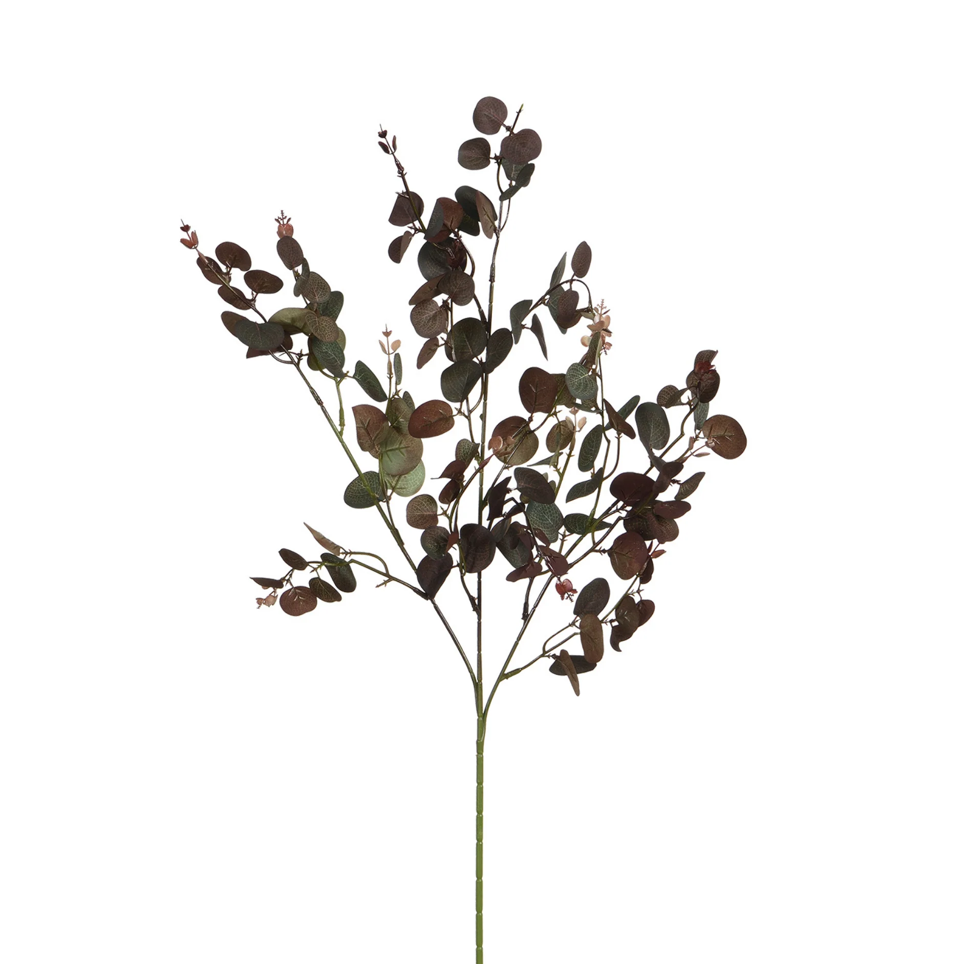 Feuillage Eucalyptus 80 cm