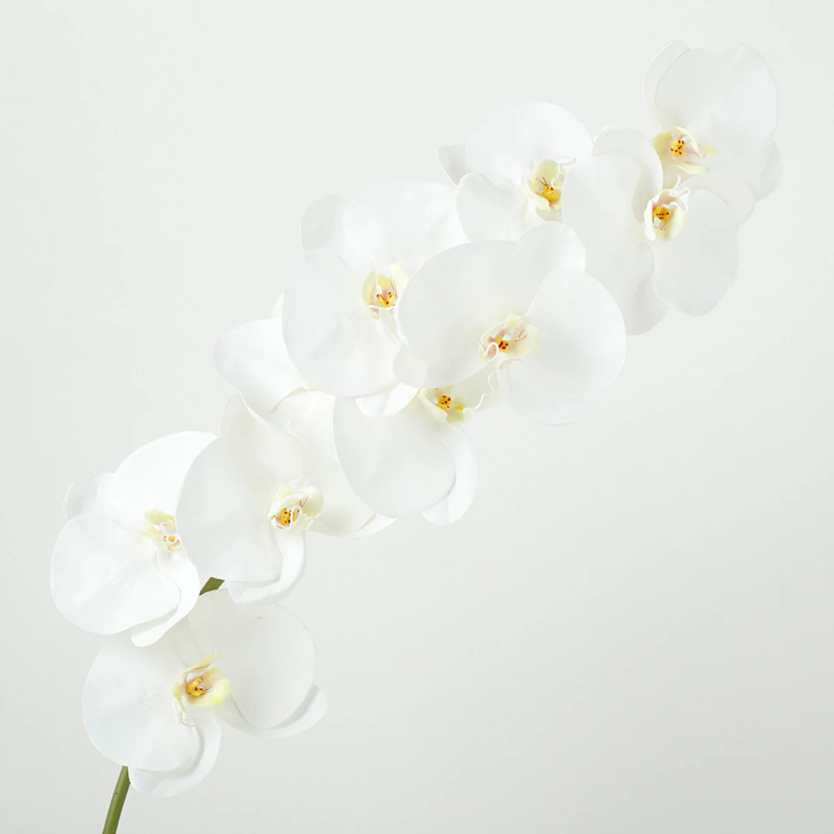 Tige d'Orchidée Premium 86cm - Image 3
