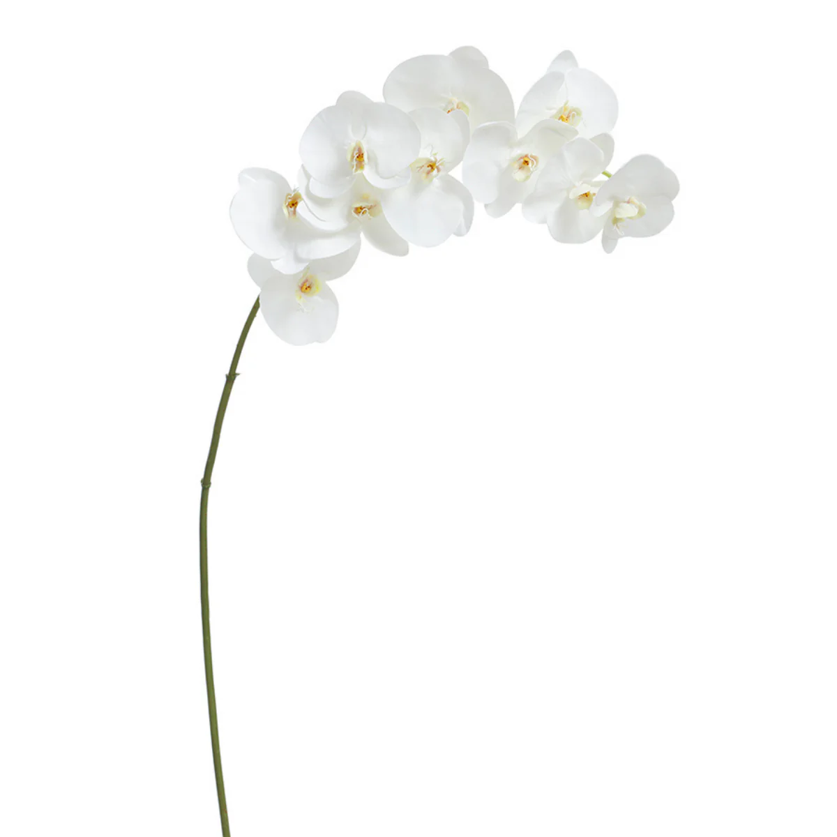 Tige d'Orchidée Premium 86cm - Image 5