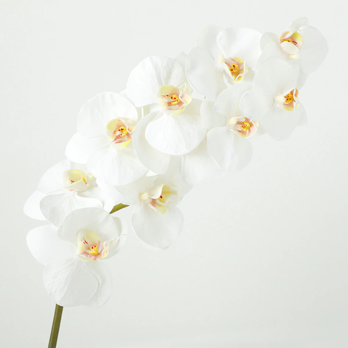 Tige d'Orchidée Premium 100cm - Image 3