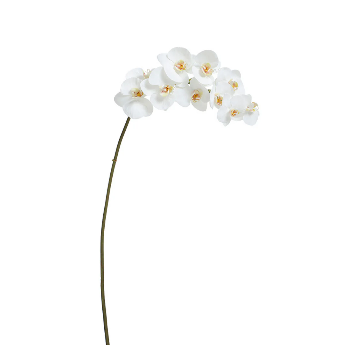 Tige d'Orchidée Premium 100cm - Image 5