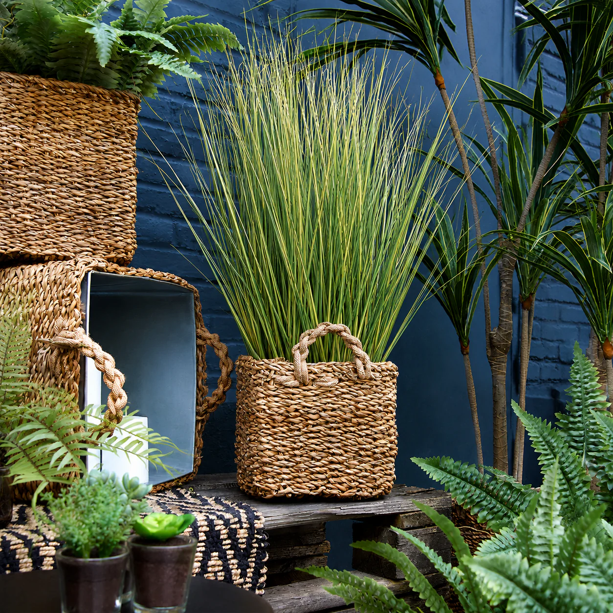 Touffe d'Herbes - Image 3